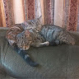 Meet your Posher, Diena